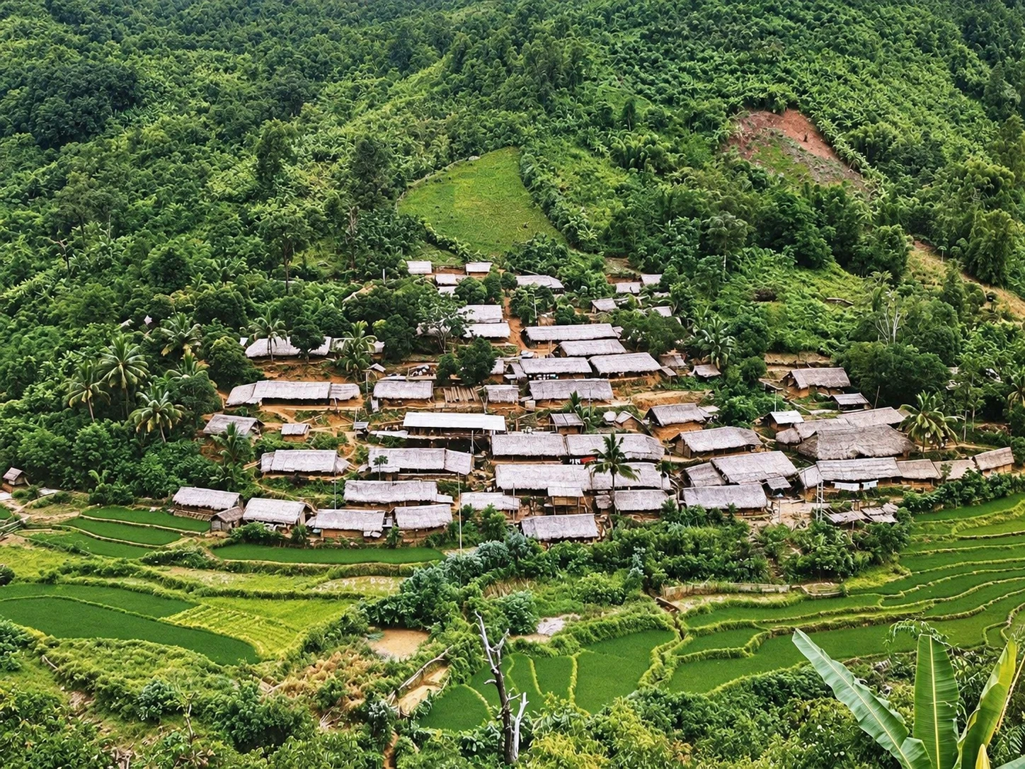 Chubao village · Wuzhishan, Hainan
