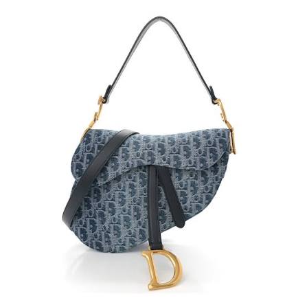 Dior saddle bag